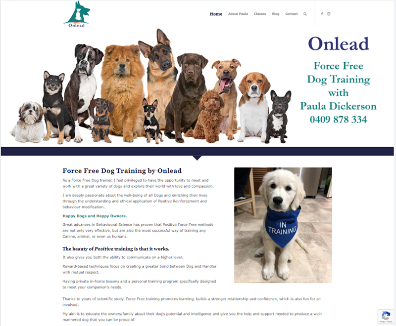 onlead force free dog tratining